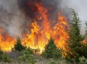 В Сибири продолжают гореть леса