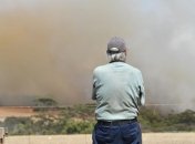 Беспощадная стихия: в Австралии оценили размер убытков от пожаров