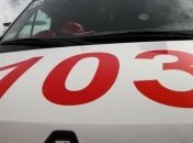 Бойцовская собака набросилась на ребенка и укусила за лицо