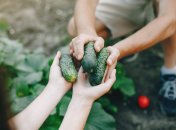 Урожай должен порадовать