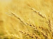 30 июля - праздник, что категорически запрещено делать, главные приметы