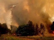 33 великі лісові пожежі сталися за минулі вихідні - Держлісагентство