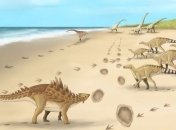 Найдены следы одного из последних динозавров: как они выглядят