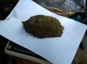 В Одесской области у местного жителя изъяли 35 кг марихуаны (Видео)