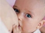 Чем дольше беременность и период грудного вскармливания, тем больше мозг младенца