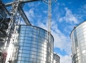 Эко-продукты в ЕС: Мартынюк назвал пути развития сельского хозяйства