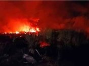 Місце падіння українського літака