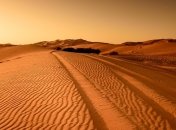 Стало известно, что пустыня Сахара была морем, в котором жили самые большие в мире существа