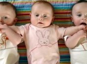 Рева рассказал о соцпомощи при рождении двойни или тройни