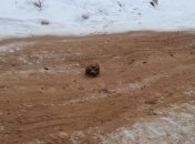 Обледеневшую дорогу в России посыпали песком с человеческими останками