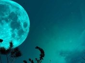 Скоро на Луне будут выращивать репу и базилик 