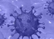 Вчені з'ясували на яких поверхнях коронавірус живе найдовше