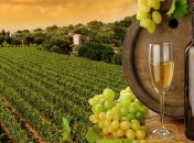 Мировой рынок вина переживает тяжелейший кризис