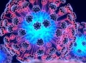 В Японии прекратили исследования стволовых клеток