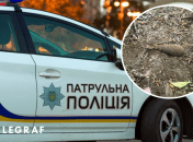 Патрульных вызвали сознательные граждане