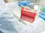 В Уганде десятки человек отравились гуманитаркой ООН