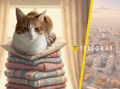 Кот с собственной кроватью из Харькова стал интернет-звездой