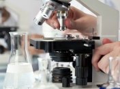 20 тонн нидерландского корма с ГМО импортировали с Германии