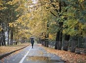 Дожди пройдут не по всей Украине