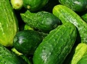 Способы сохранения огурцов в домашних условиях