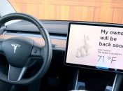 В салоні Tesla створили забаву для ігроманів