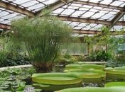 У столичного Ботанического сада произошла ночная стрельба