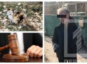 Мучительнице кошки только исполнилось 18 лет