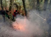 Пожар на Корсике уже уничтожил 2 тысячи гектаров леса