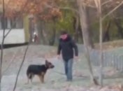 В Харькове мужчина избивал собаку на глазах у сына, невзирая на его слезы