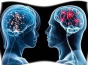 Ученые сравнили мужской и женский мозг 