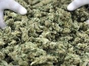 В Запорожье сотрудники СБУ сожгли 532 кг наркотиков