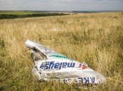 Порошенко и глава Сената Австралии обсудили расследование рейса MH17