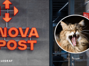 Новый кот на "Новой почте"