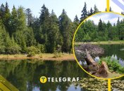 Дике озеро в Карпатах