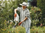 Осінь – час підготовки саду до зими