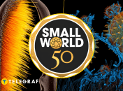 Иллюстративное фото