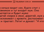 Теплый лучик осеннего настроения: вечерние анекдоты 28 сентября