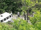 Микроавтобус со школьниками сорвался в овраг в Грузии: 4 человека погибло 