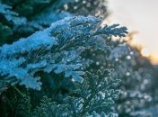 Какой завтра праздник: народные приметы и обряды на 26 декабря