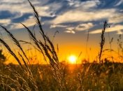 Лето продолжается: экстремальная жара с Европы дошла до Украины