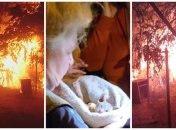 После взрыва в "Котобазе" случился пожар