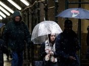 Ученые составили самое большое генеалогическое древо из 13 миллионов человек
