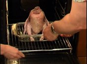 «Волшебная» курица