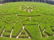 В Киеве создали гигантский лабиринт в виде карты Украины