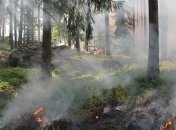 До понедельника в Киеве чрезвычайная пожарная опасность