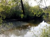 Реку Хомора на Житомирщине снова отравили отходами