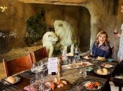 Необычный отель, в котором обитают редкие дикие животные (Фото) 