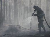 Ситуация с пожарами: огонь уничтожил 5% Чернобыльского заповедника