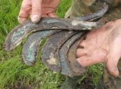 Коллекционер передал Сумскому музею уникальные серпы бронзовой эпохи