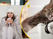 Тепло в доме